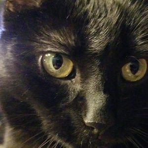 Meet your Posher, Dana